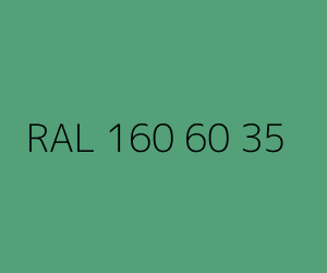 Renk RAL 160 60 35 