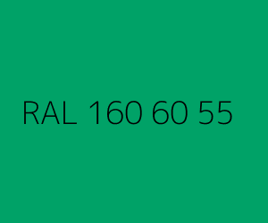 Renk RAL 160 60 55 