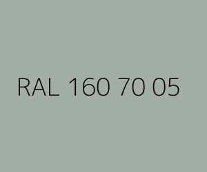 Renk RAL 160 70 05 