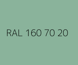 Renk RAL 160 70 20 