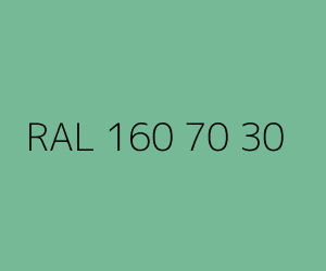 Renk RAL 160 70 30 