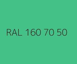Renk RAL 160 70 50 