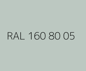 Renk RAL 160 80 05 