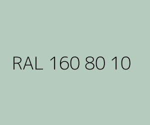 Renk RAL 160 80 10 
