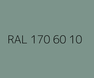 Renk RAL 170 60 10 