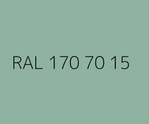 Renk RAL 170 70 15 