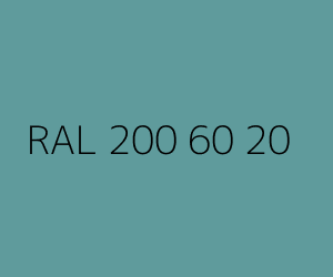 Renk RAL 200 60 20 