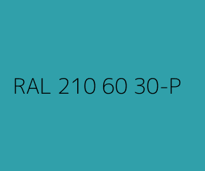 Renk RAL 210 60 30-P 