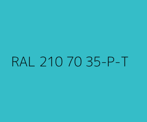 Renk RAL 210 70 35-P-T 