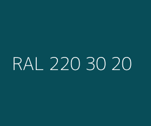 Renk RAL 220 30 20 