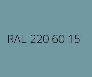 Renk RAL 220 60 15 
