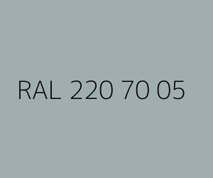 Renk RAL 220 70 05 