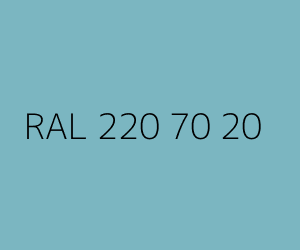 Renk RAL 220 70 20 
