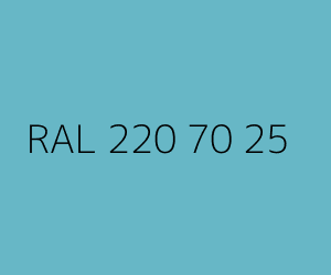 Renk RAL 220 70 25 