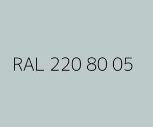 Renk RAL 220 80 05 