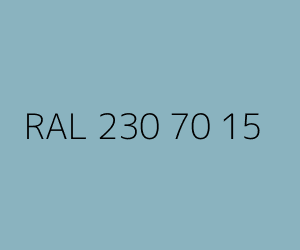 Renk RAL 230 70 15 