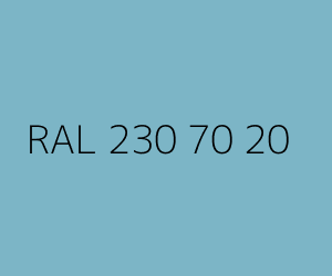 Renk RAL 230 70 20 