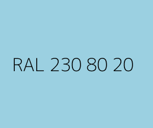 Renk RAL 230 80 20 