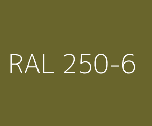 Renk RAL 250-6 