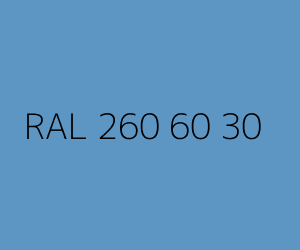 Renk RAL 260 60 30 