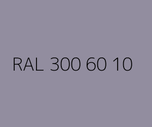 Renk RAL 300 60 10 