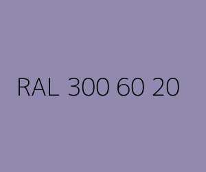 Renk RAL 300 60 20 