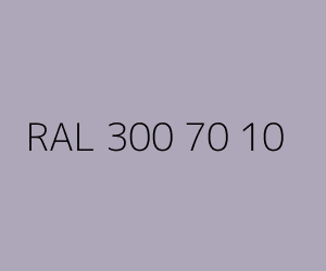 Renk RAL 300 70 10 