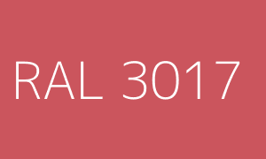 Renk RAL 3017