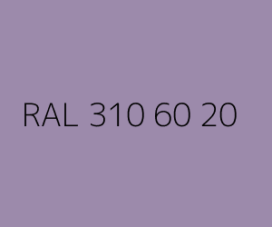 Renk RAL 310 60 20 