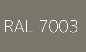 Renk RAL 7003