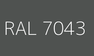 Renk RAL 7043