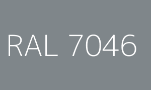 Renk RAL 7046