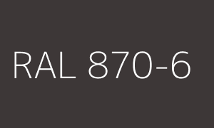 Renk RAL 870-6