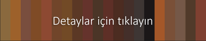 RAL Classic renkleri (kahverengi tonları)
