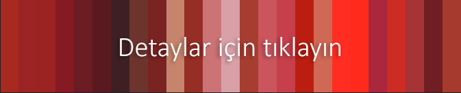 RAL Classic renkleri (kırmızı tonları)