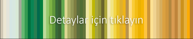 RAL Effect renkler 210 - 290 kodu