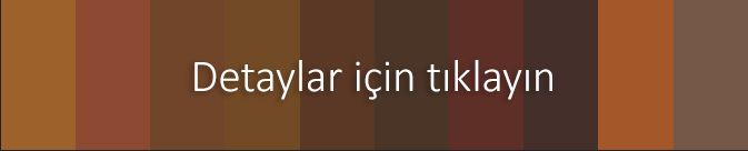 RAL Plastics P1 renkleri (kahverengi tonları)